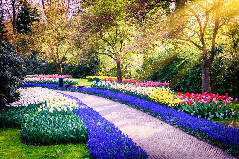 Spring landscape with colorful flowers