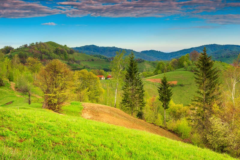 Spring Landscape and Farmland,Holbav,Transylvania,Romania,Europe Stock ...