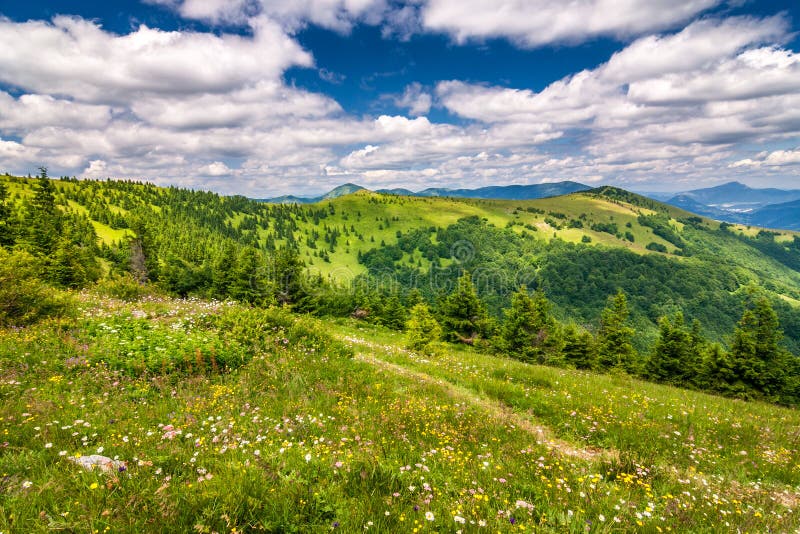 Jarní krajina s rozkvetlými loukami a horami.