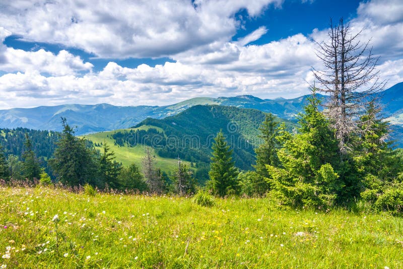 Jarná krajina s trávnatými lúkami a horami