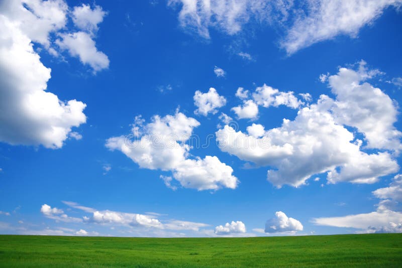 Spring Landscape - green field and blue sky