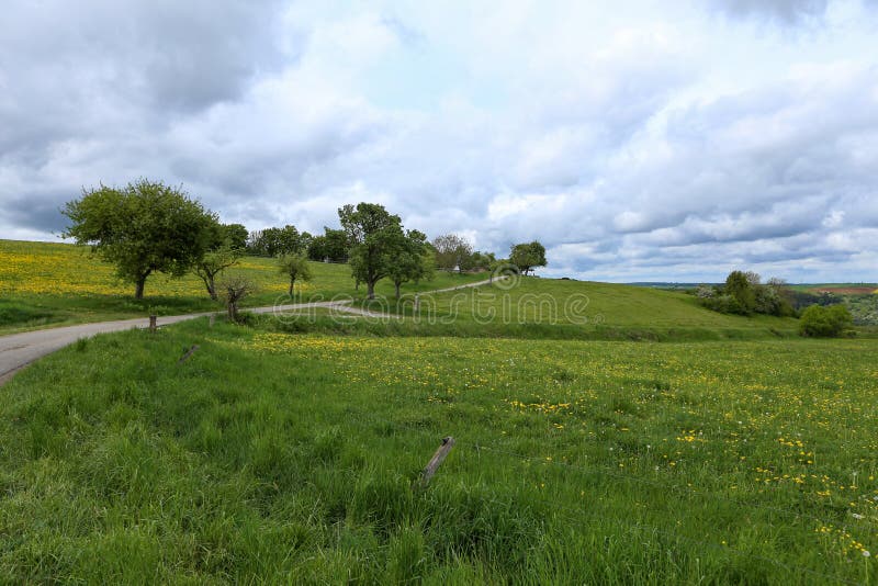 Spring Landscape with Green Meadows Along the Road Stock Photo Image