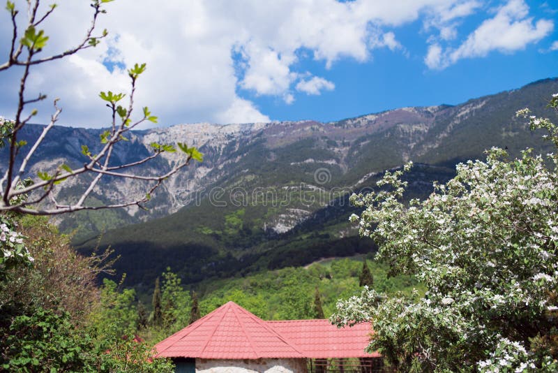 A spring landscape with a house and a flowering apple tree. stock images A spring landscape with a house and a flowering apple tree. stock images