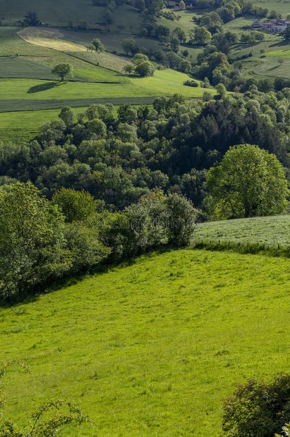 Spring Landscape in the Lyon Mountains Around Montromant Stock Image Image of hilly, pasture