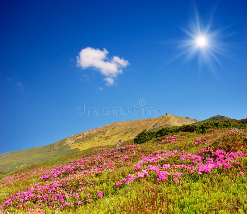 Spring in the Mountains