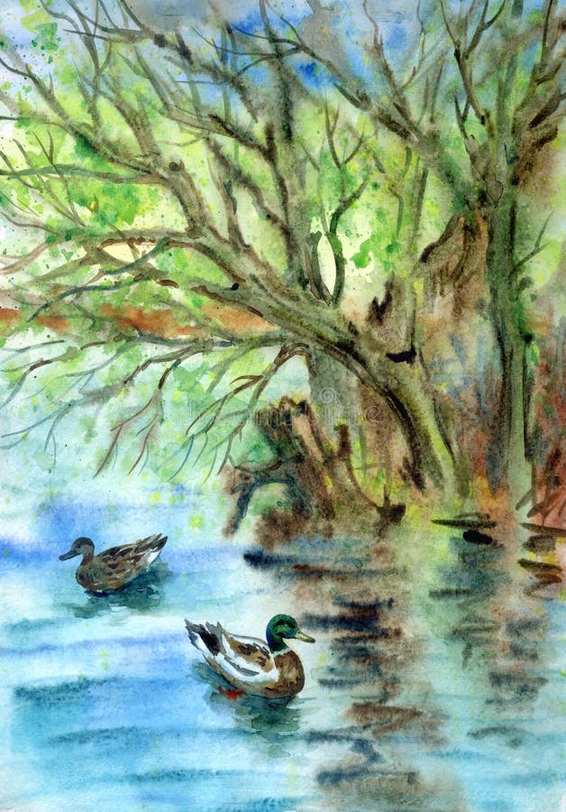 Spring landscape with a pond and ducks, watercolor