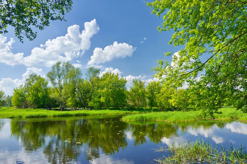 Primavera, paesaggio con fiume Narew, verde degli alberi e delle nuvole sul cielo blu.
