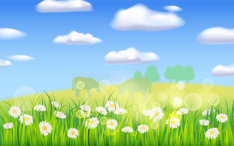 Spring landscape rural countryside, blooming daisies dandelions. Panorama springtime green fields, blue sky. Vector background illustration isolated cartoon style. Spring landscape rural countryside, blooming daisies dandelions. Panorama springtime green fields, blue sky. Vector background illustration isolated cartoon style