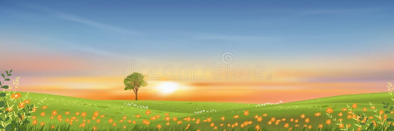 Spring lanscape with morning sky and single tree on green grass fields, Natural farmland with orange flowers and meadow with