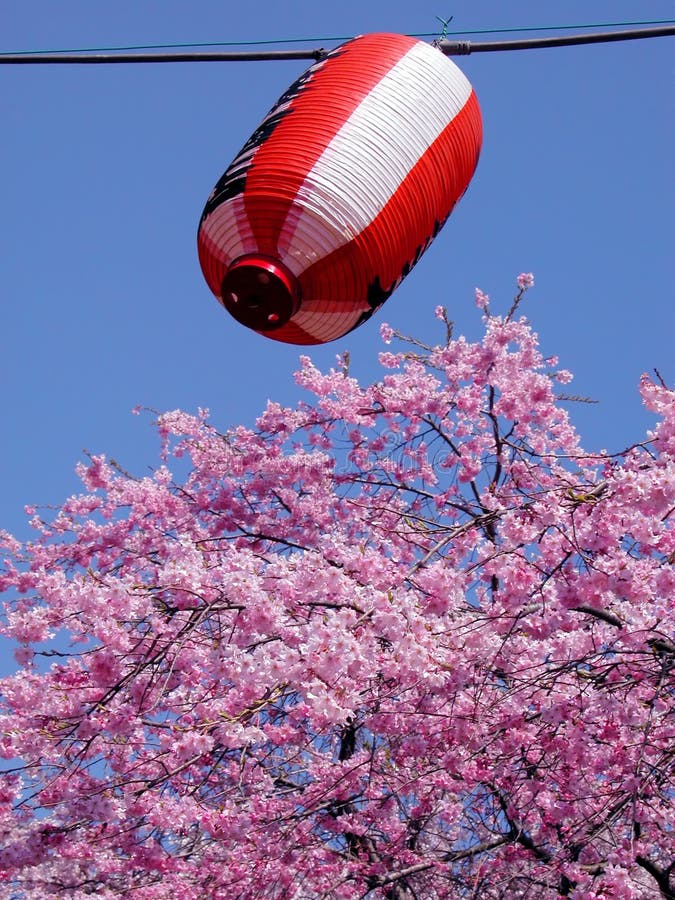 Spring lantern royalty free stock photo Spring lantern royalty free stock photo