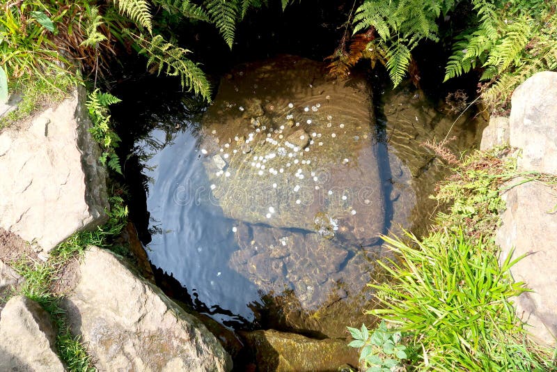 The spring of the longest Czech river Vltava in Sumava National Park in the Czech Republic. Coins at the bottom of the little pond