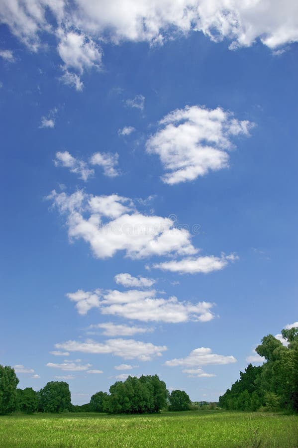 Spring meadow and blue sky