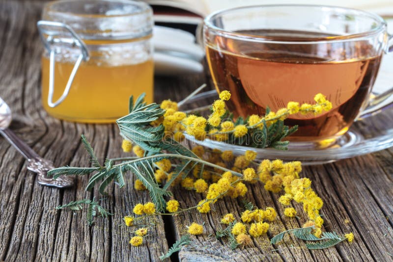 Spring Mimosa Flowers and Cup of Tea Stock Photo Image of card, flora
