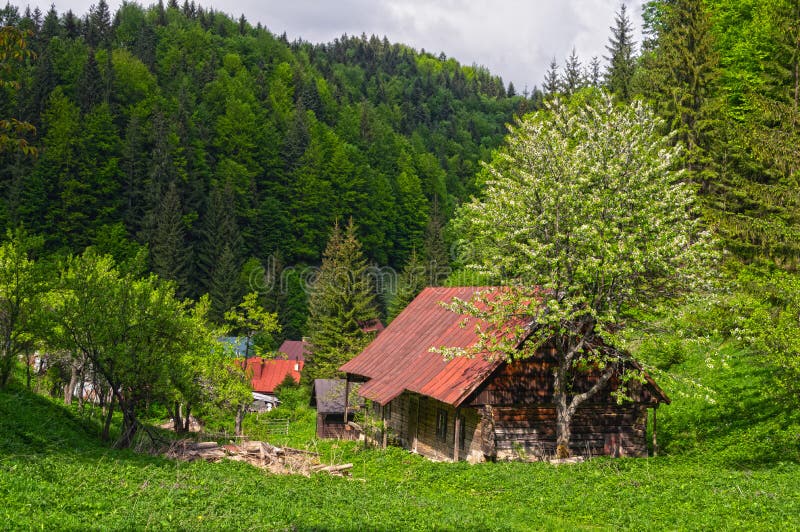 Jaro na sídlišti Moce