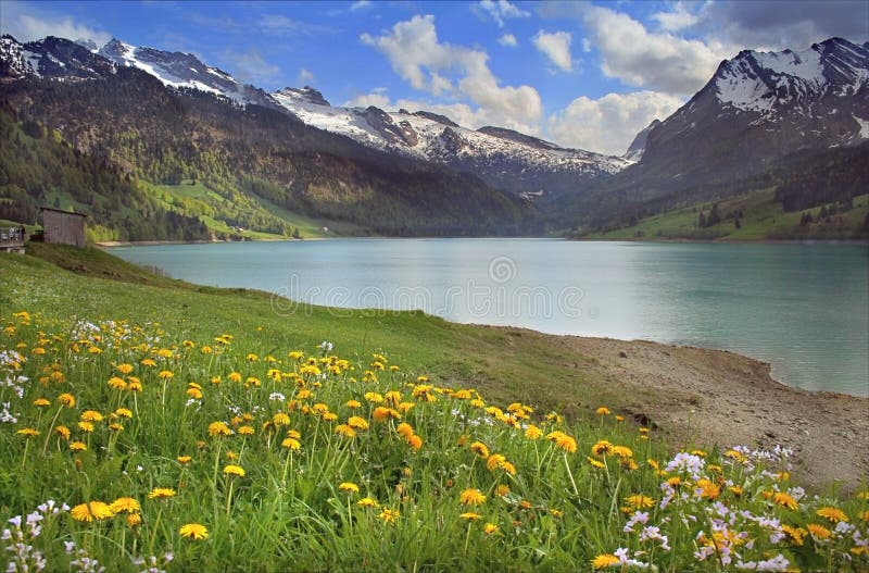 Spring mountains lake