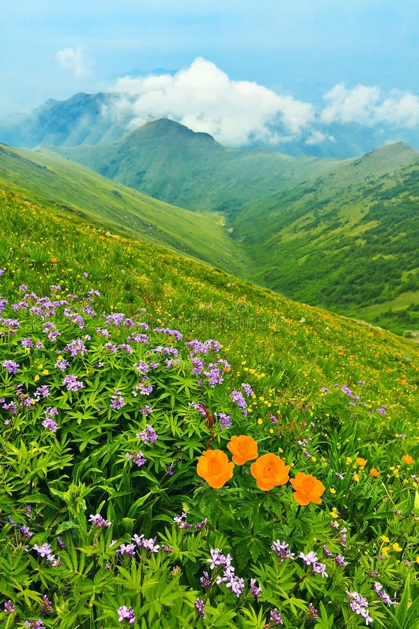 Spring mountains landscape