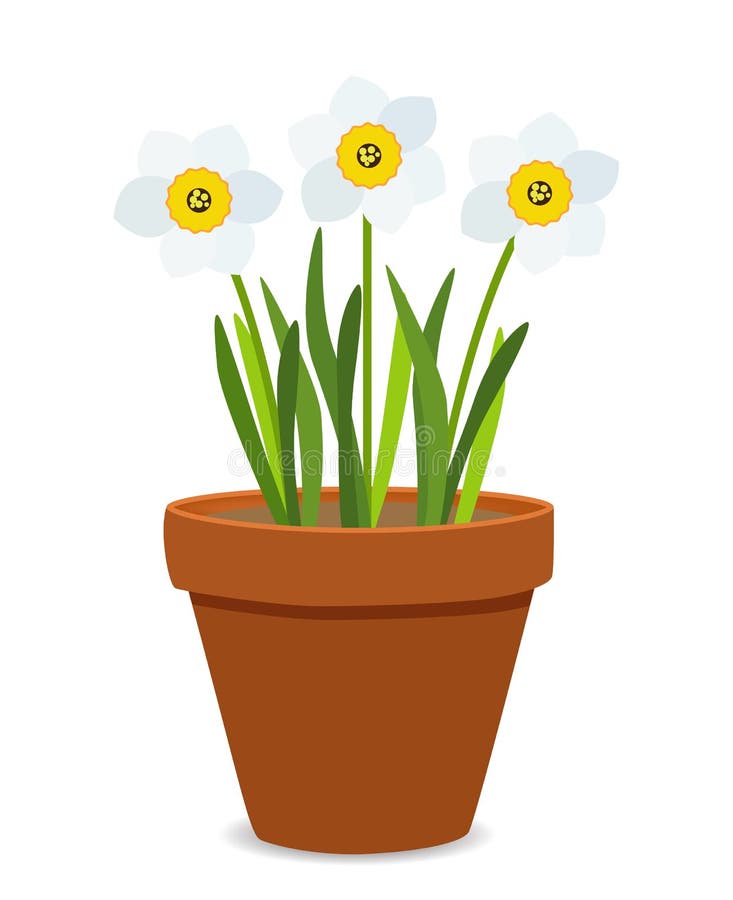 Download Spring Narcissus Flowers Background Vector Illustration ...