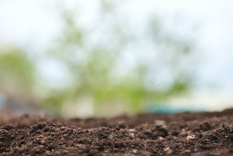 Spring Natural Soil Background for Planting Plants. Beautiful Bokeh. Copy  Space Stock Image - Image of clean, long: 173812665
