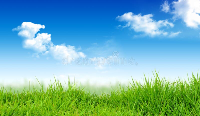 Spring Nature Background with Grass and Blue Sky. Stock Photo - Image of  field, blue: 148432076