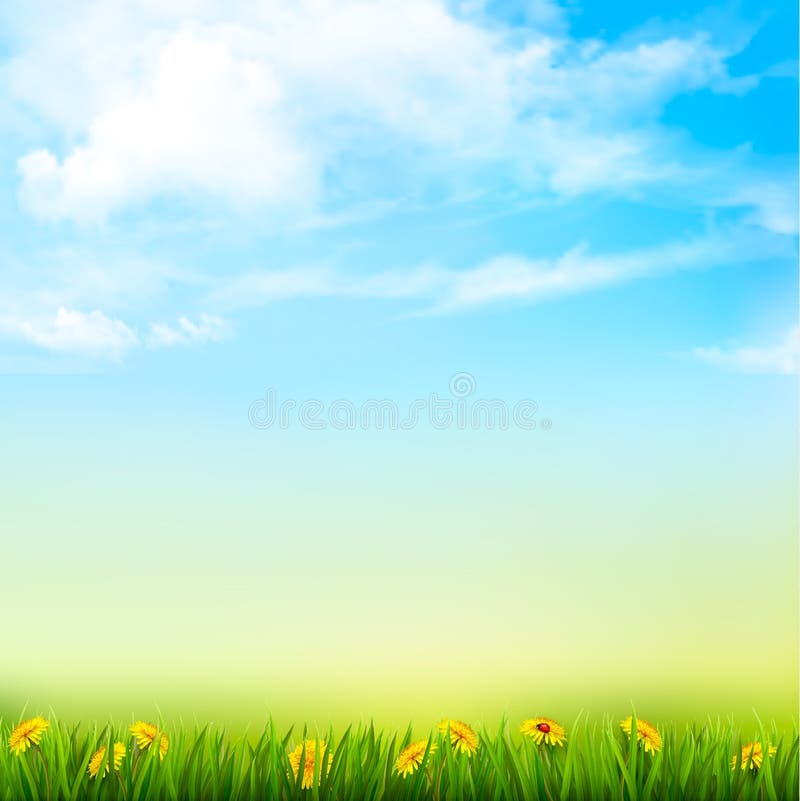 Spring Nature Background With A Green Grass