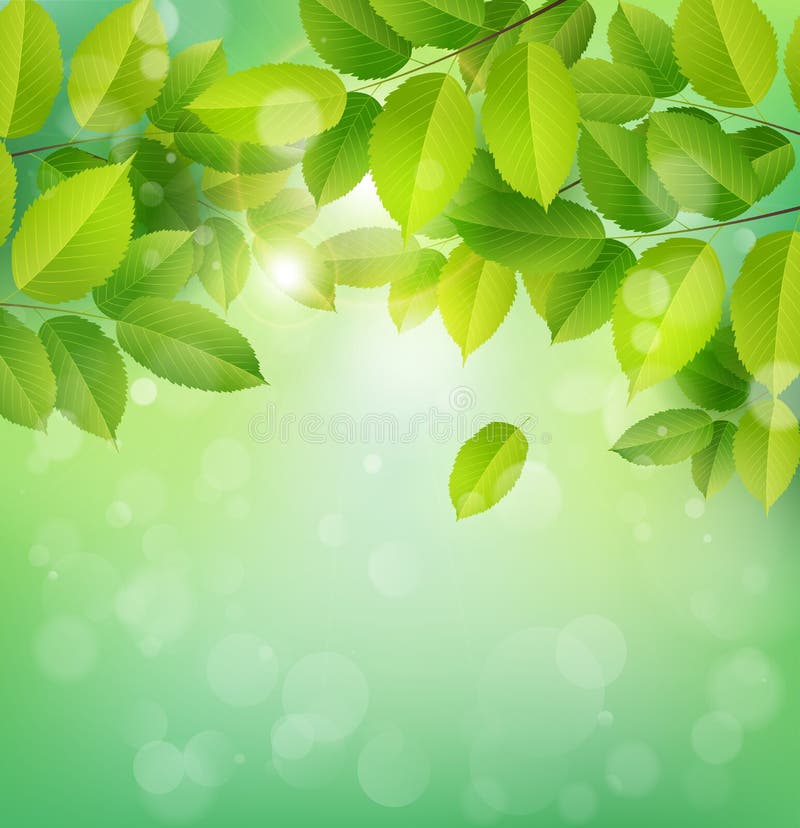 Green Banner with Flowers and Leaves Stock Vector - Illustration of ...