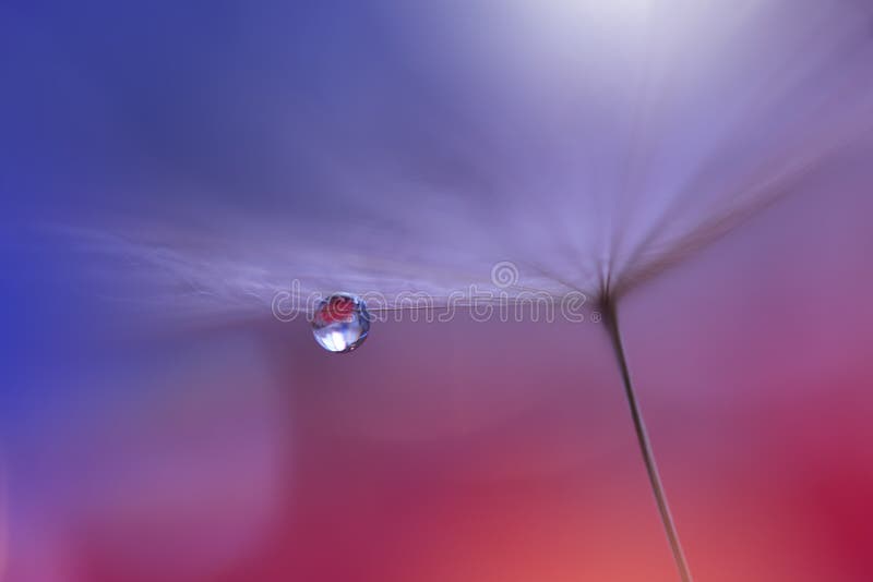 Spring nature blossom web banner or header.Abstract macro photo.Artistic Background.Fantasy design.Colorful Wallpaper.Artwork,Drop royalty free stock images Spring nature blossom web banner or header.Abstract macro photo.Artistic Background.Fantasy design.Colorful Wallpaper.Artwork,Drop royalty free stock images