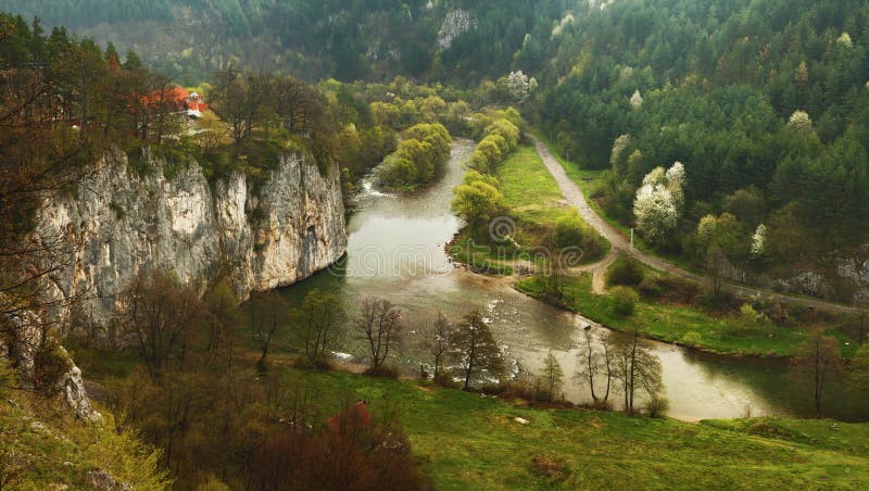 Spring nature panorama