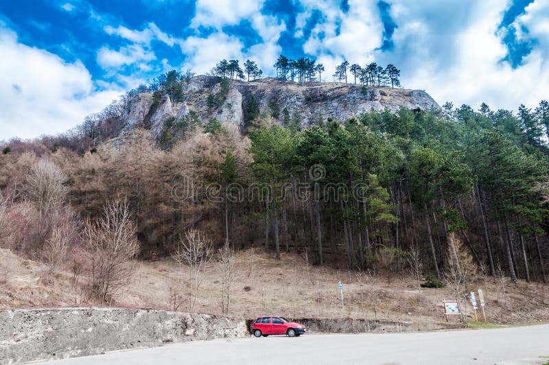 Spring nature in rocky forest of Vrsatec castle of Slovakia