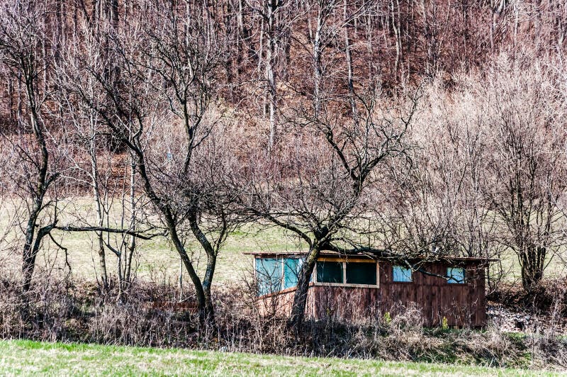 Spring nature in rocky forest of Vrsatec village of Slovakia