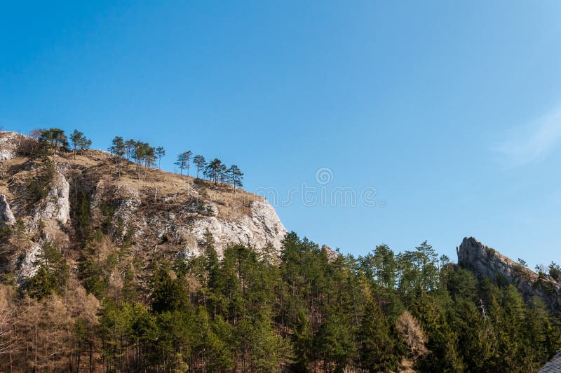 Spring nature in rocky forest of Vrsatec village of Slovakia