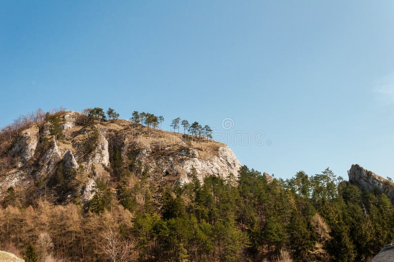 Jarná príroda v skalnom lese obce Vršatec na Slovensku