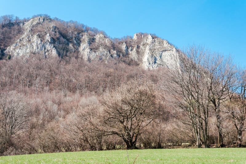 Jarní příroda ve skalnatém lese obce Vršatec na Slovensku