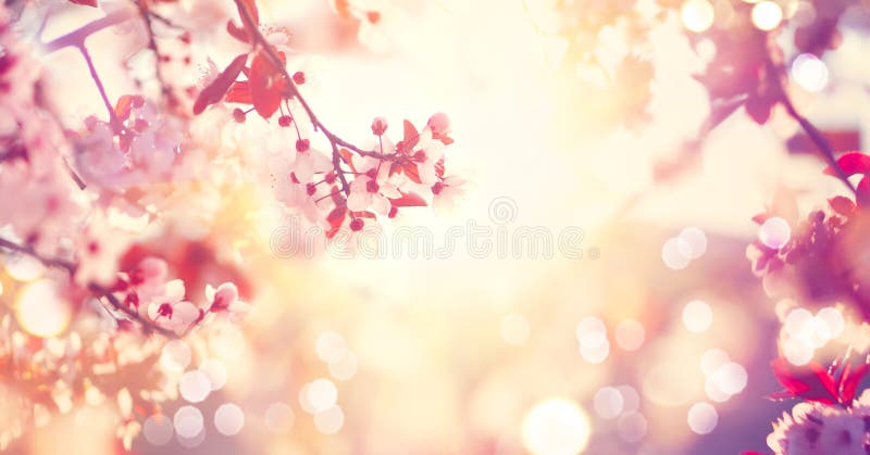 Schönes Frühlings-Natur-Szene mit rosa blühenden Baum.