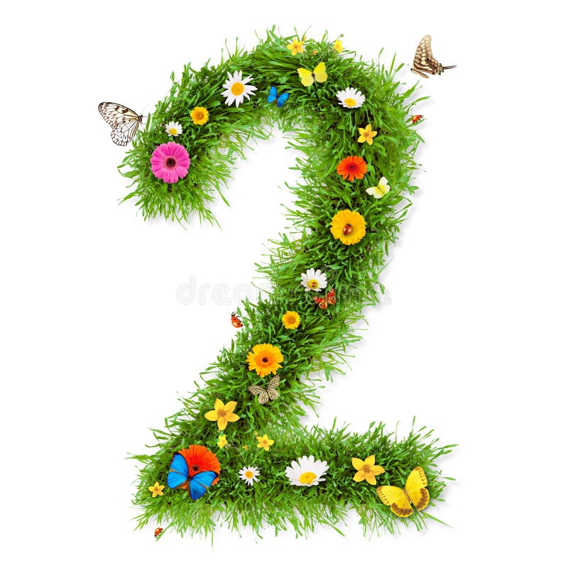 Peach Cream Blush Floral Number - Cifra 1 Con Composizione Bouquet