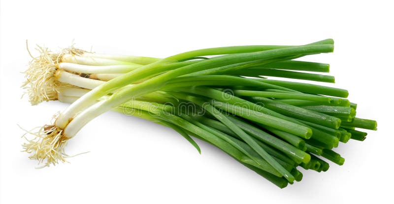 Spring onion isolated on white. Background royalty free stock photo