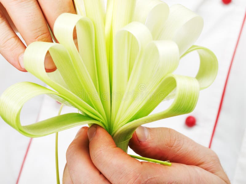 Spring Onion Made Like Flower Stock Photo Image of decoration, chef