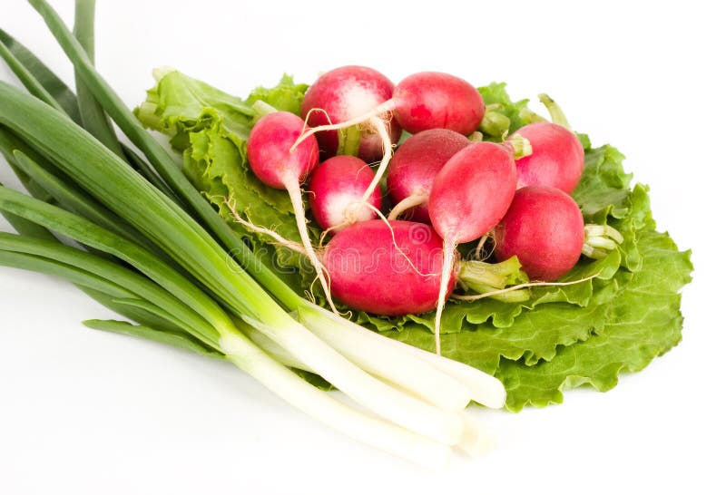 Spring onions and radishes on lettuce
