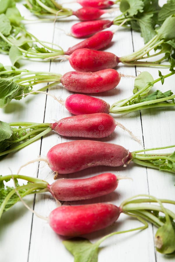 Spring organic vegan radish, root salad plant royalty free stock images Spring organic vegan radish, root salad plant royalty free stock images