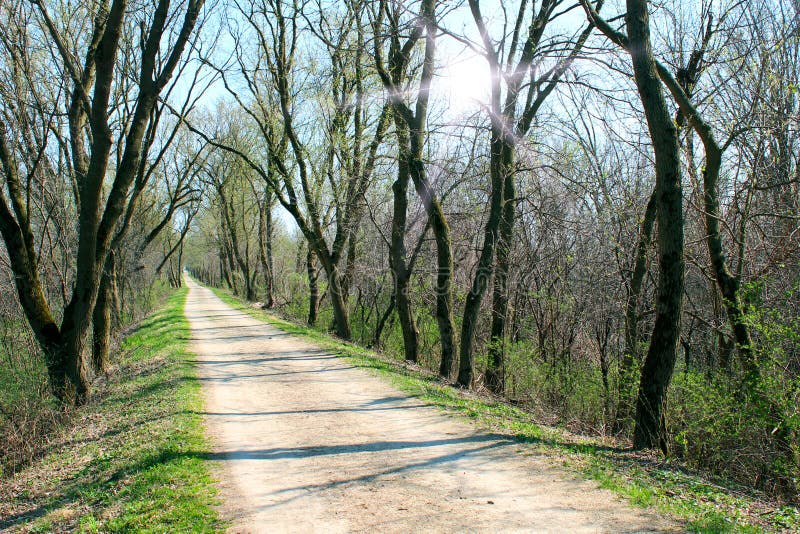 Spring path