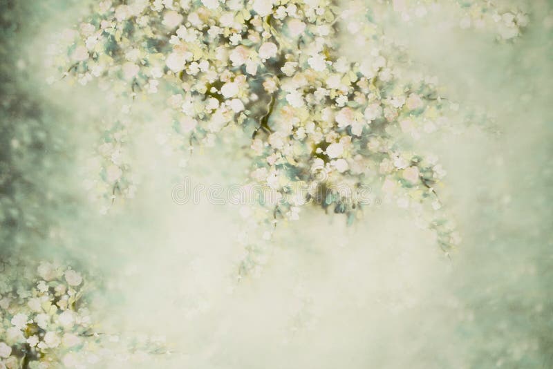 Spring Photo Background with Flowers Stock Photo - Image of invitation,  fashion: 140055200