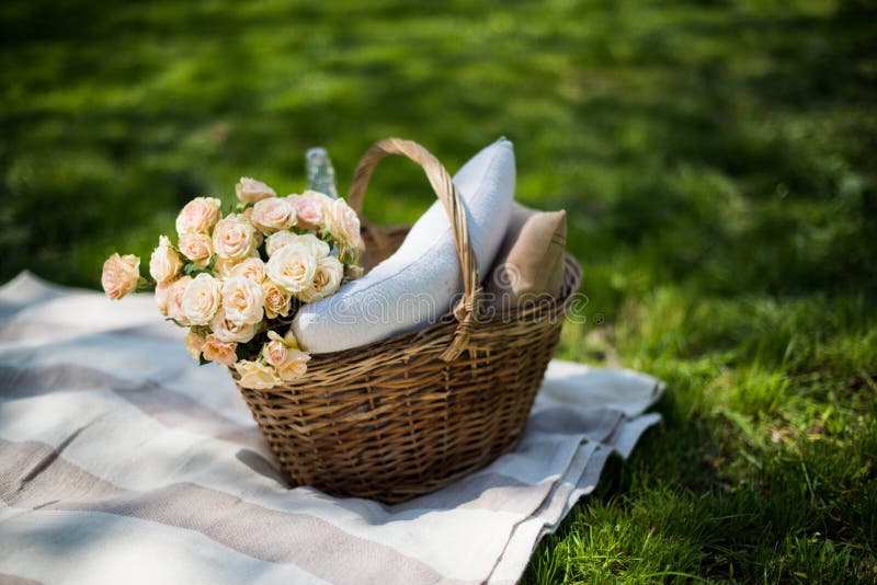 Spring picnic in a park