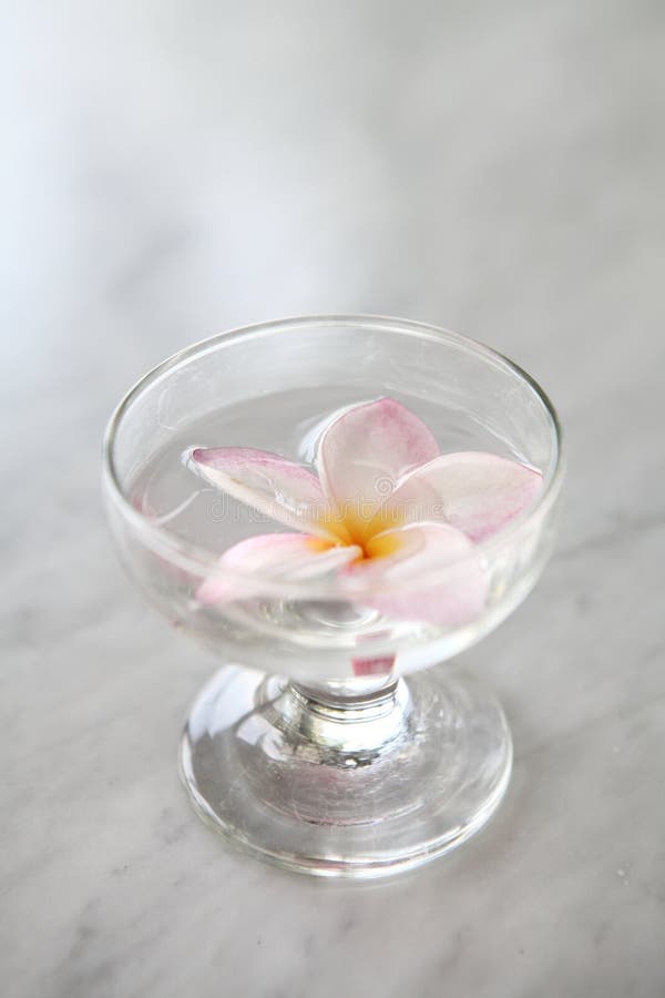 Flower Water Cake the Water Drop Dessert Mochi Mizu Shingen Mochi with
