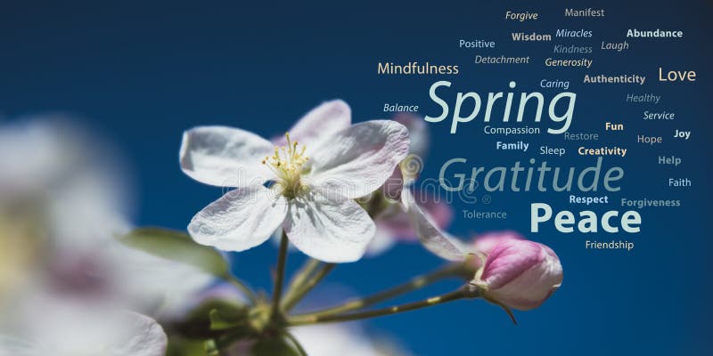 Spring positive words stock image. Image of apple, faith - 171123487