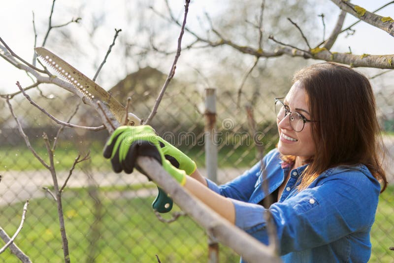 Woman Gardener in Gloves with Garden Saw Cuts Branches Stock Image ...