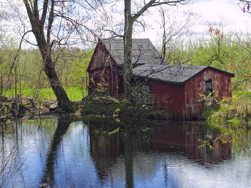 Spring Reflection