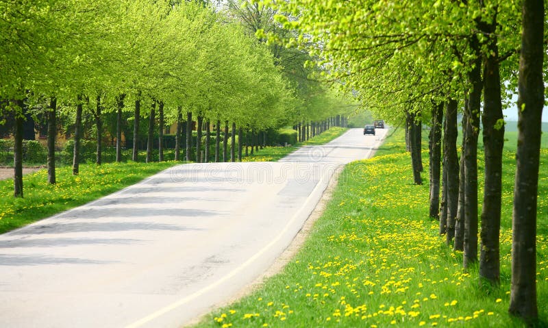 Spring road