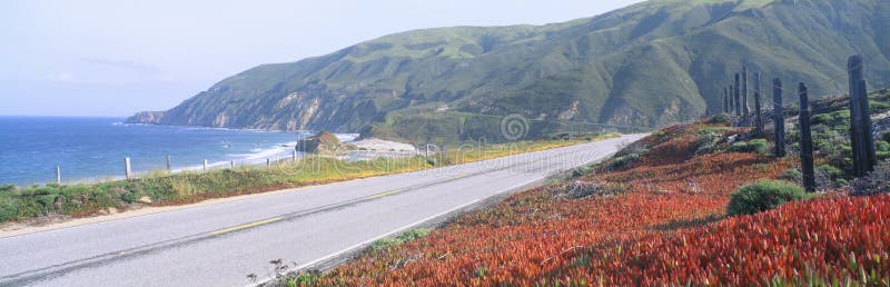 Spring, Route 1, California Coast