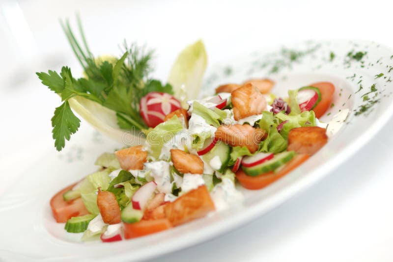 Spring Salad royalty free stock photos