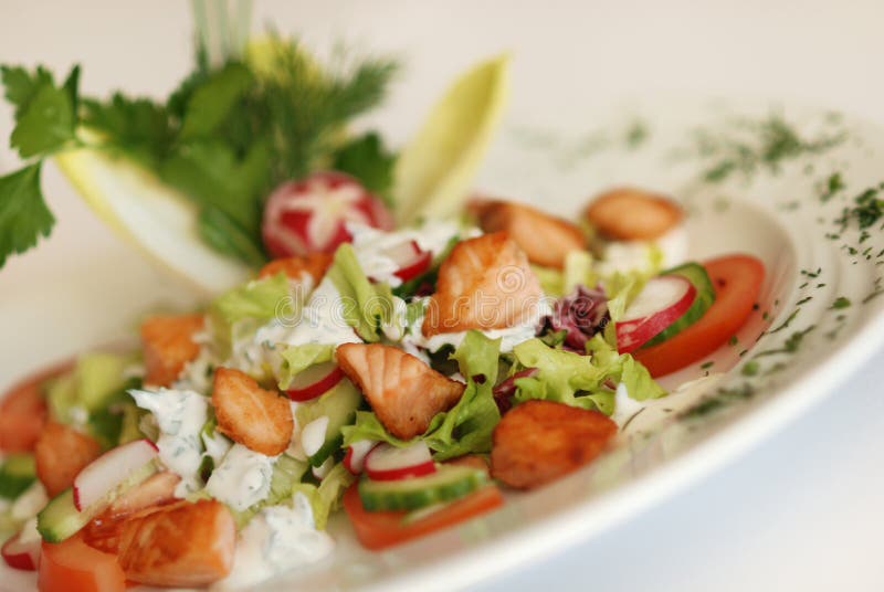 Spring Salad royalty free stock photography