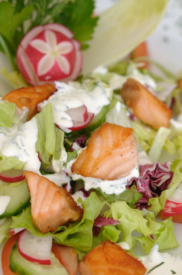 Spring Salad royalty free stock image